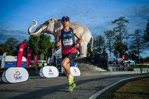 BIB: 
                            <button type="button" onclick="openModal(26541606)" class="btn btn-primary btn-sm float-right btn-popup" data-toggle="modal" data-target=".modal-high-quality">
                        <i class="fas fa-shopping-cart"></i> Add to Cart
                    </button>
                                            <button type="button" onclick="isThisMe(26541606, true)" class="btn btn-success btn-sm float-right btn-popup btn-isme hidden" data-toggle="tooltip" data-placement="bottom" title="นี่คือรูปของคุณใช่ไหม คลิกที่นี่เพื่อเอาเข้าอัลบั้ม">
                        <i class="fas fa-plus"></i> Add to album
                    </button>
                    <button type="button" onclick="isThisMe(26541606, false)" class="btn btn-warning btn-sm float-right btn-popup btn-isnotme hidden">
                        <i class="fas fa-ban"></i> Remove from album
                    </button>